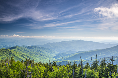 summer view from clingmans dome