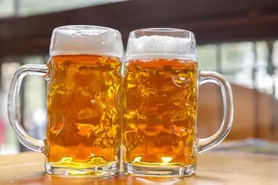 mugs of german beer