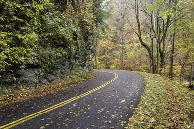 roaring fork motor nature trail