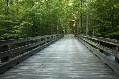 bridge in greenbrier tennessee