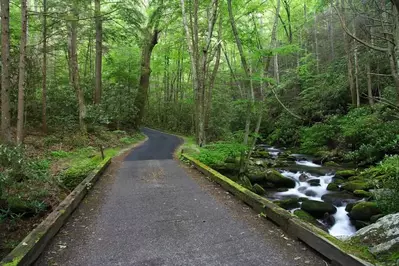 roaring fork motor trail in the great smoky mountains