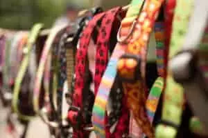 Dog-collars-Holly-and-Willows-Pet-Barn-300x200-1
