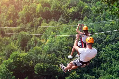 couple ziplining through trees