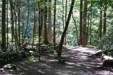 gatlinburg trail in great smoky mountains