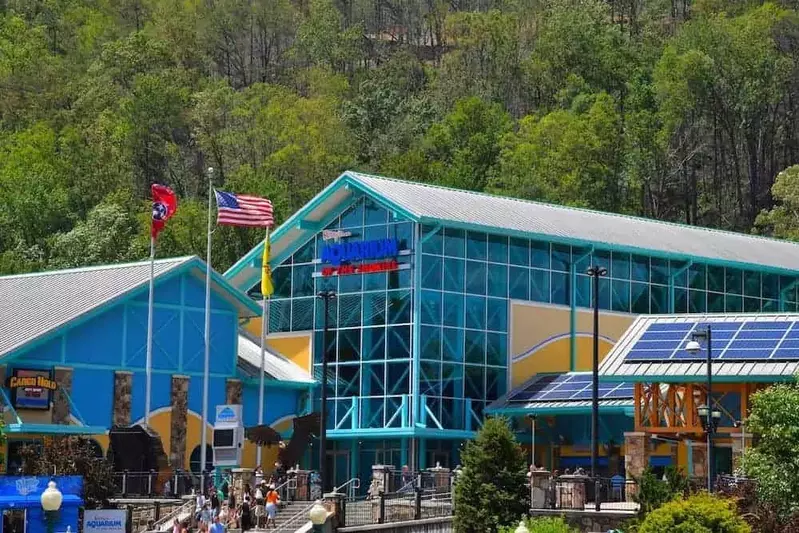 5 Best Indoor Activities In Gatlinburg