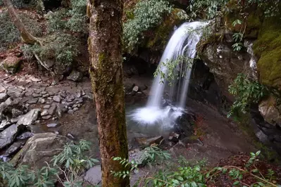 grotto falls in the smoky mountains