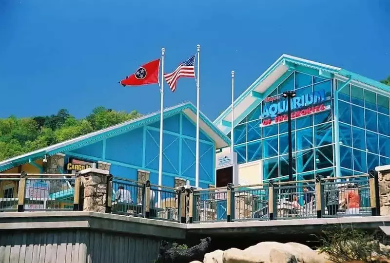 ripley's aquarium in the smokies