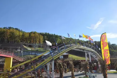 goats on the roof mountain coaster