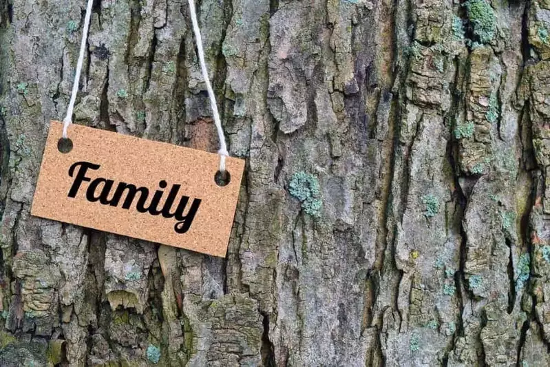 wooden sign hanging on tree says family