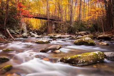 A creek in the Smoky Mountains during the fall.