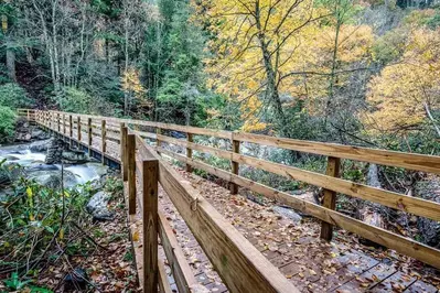footbridge in the smoky mountains on a hiking trail
