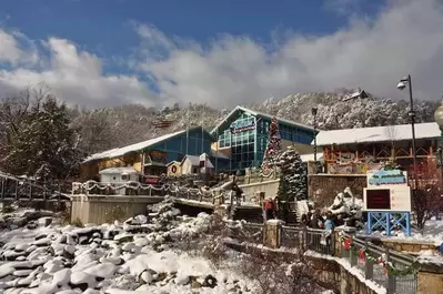 A photo of Ripley's Aquarium of the Smokies during the winter.