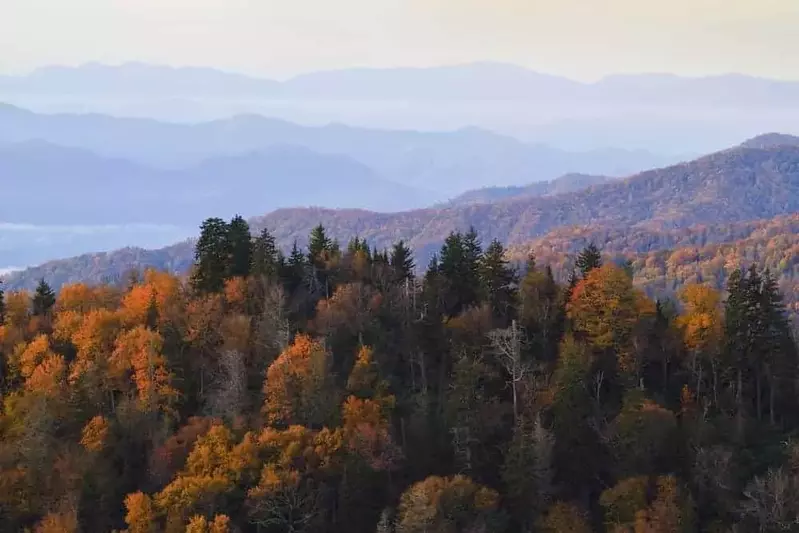 Incredible view of the fall colors near Pigeon Forge.