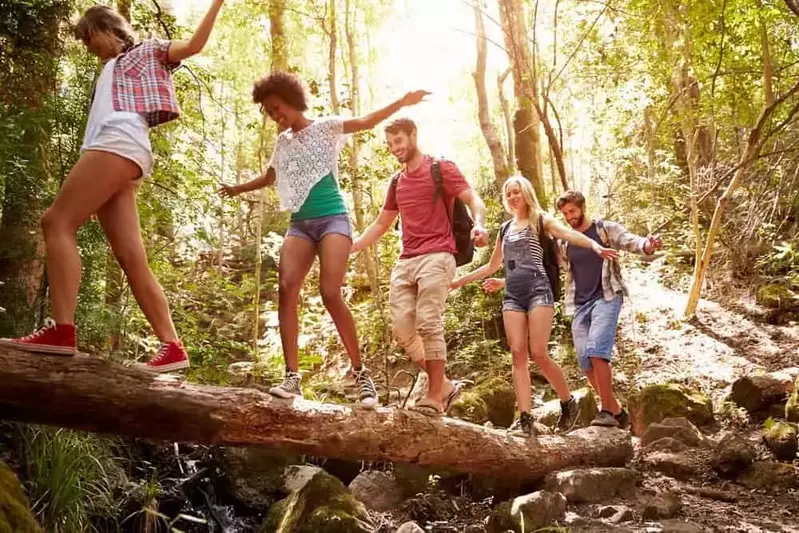 Group of friends exploring in the forest near our Great Smoky Mountain cabin rentals.