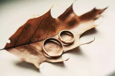 wedding rings set up on a fall leaf