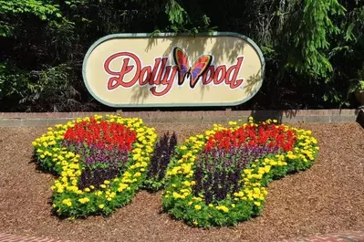 dollywood sign with butterfly made out of flowers
