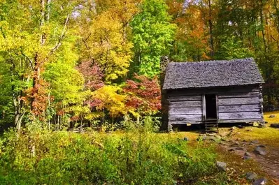 Fall in the Great Smoky Mountains National Park