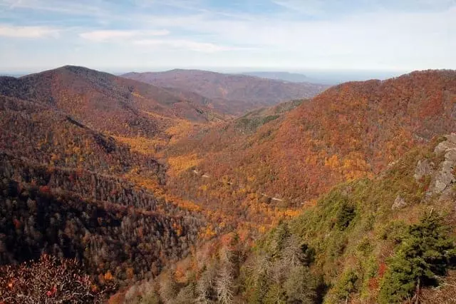 Fall colors in the Smoky Mountains