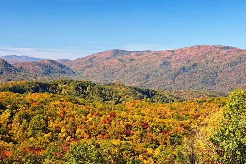 Stunning fall colors in the mountains near Pigeon Forge TN