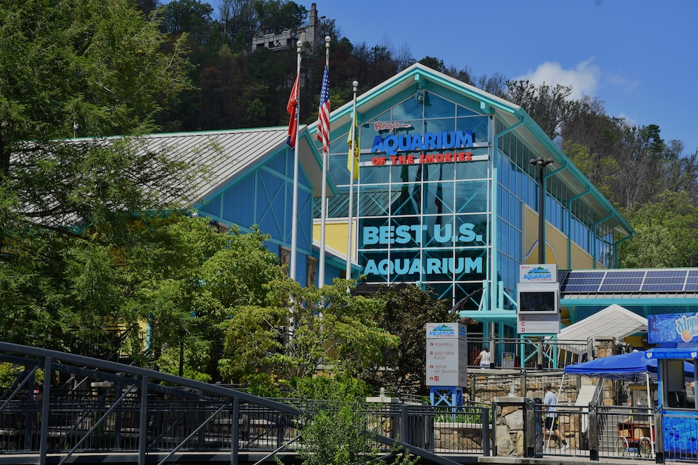 ripleys aquarium is one of the top group activities in Gatlinburg TN