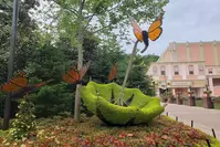 flower and food festival at dollywood