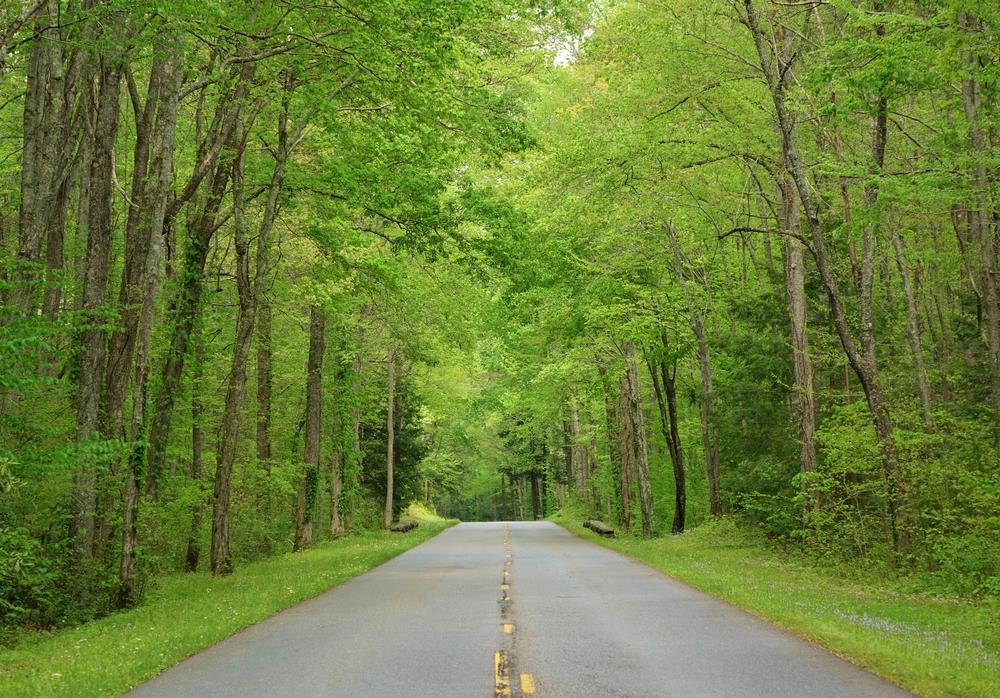 smoky mountain scenic drive