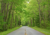 smoky mountain scenic drive