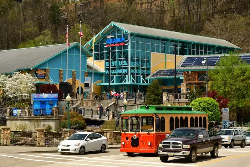 ripley's aquarium is one of the best indoor activities in Gatlinburg