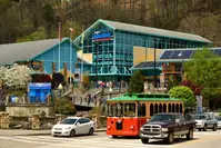 ripley's aquarium is one of the best indoor activities in Gatlinburg