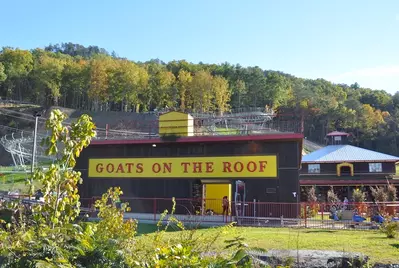 Goats on the Roof is a top spot for gem mining in Pigeon Forge