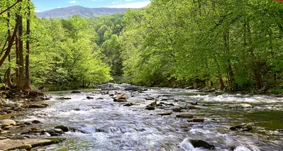 A VIEW FOR ALL SEASONS