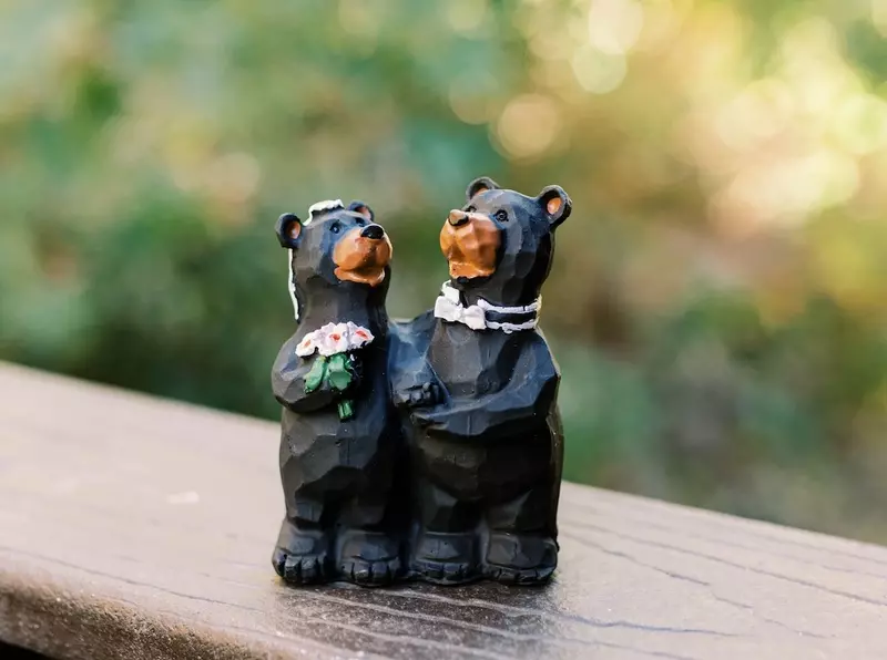 cabin wedding pigeon forge