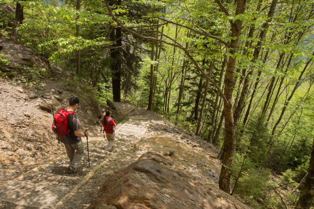 best activities in gatlinburg tn for groups