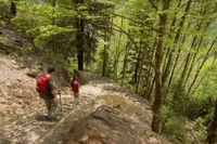 great smoky mountain national park hikes