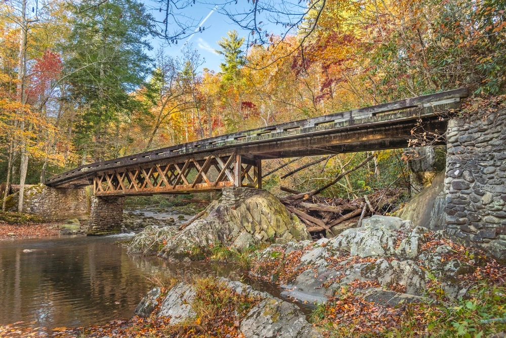 fall in the smokies