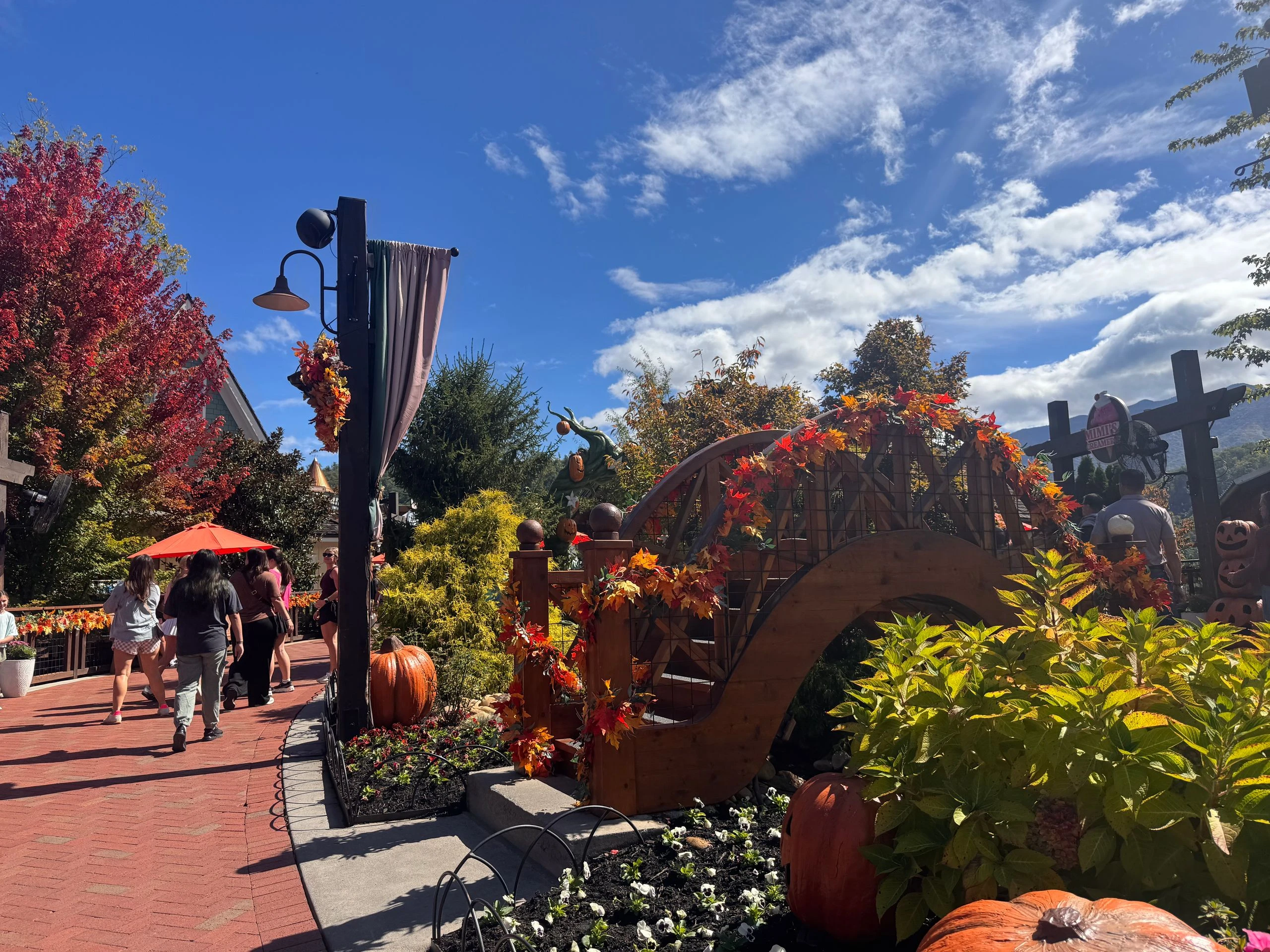 fall in the Smokies at Anakeesta